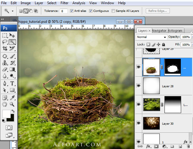 hippo, photoshop, nest, egg, shell, flying hippo, cute, baby, wings, hippopotamus, feathers
